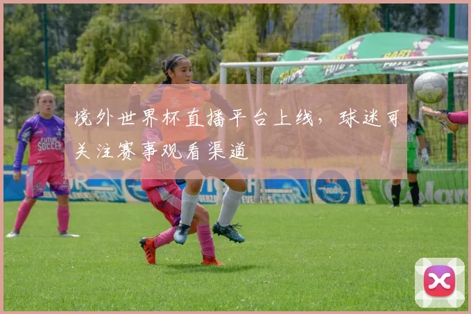 境外世界杯直播平台上线，球迷可关注赛事观看渠道