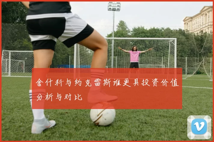 舍什科与约克雷斯谁更具投资价值分析与对比