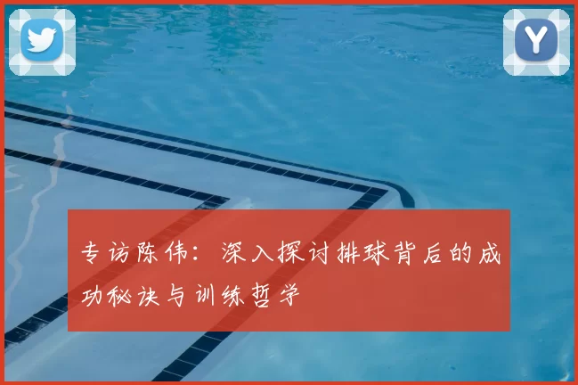 专访陈伟：深入探讨排球背后的成功秘诀与训练哲学