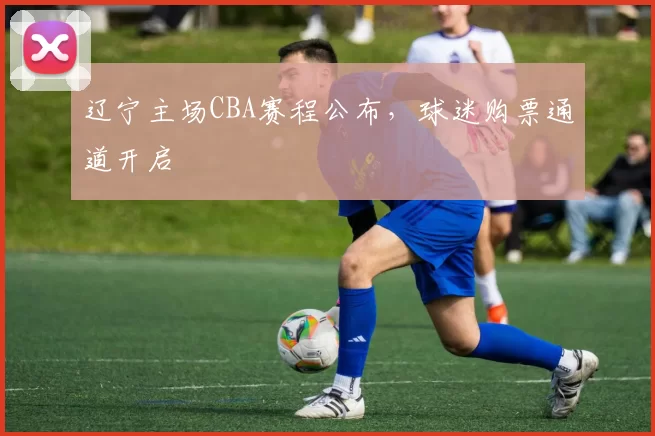 辽宁主场CBA赛程公布，球迷购票通道开启