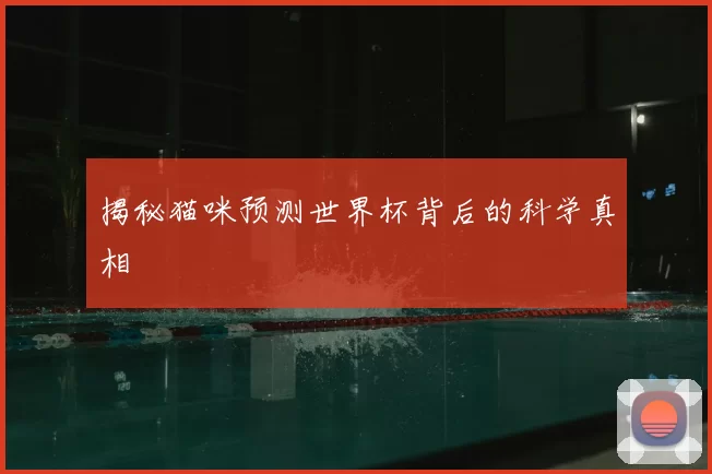 揭秘猫咪预测世界杯背后的科学真相