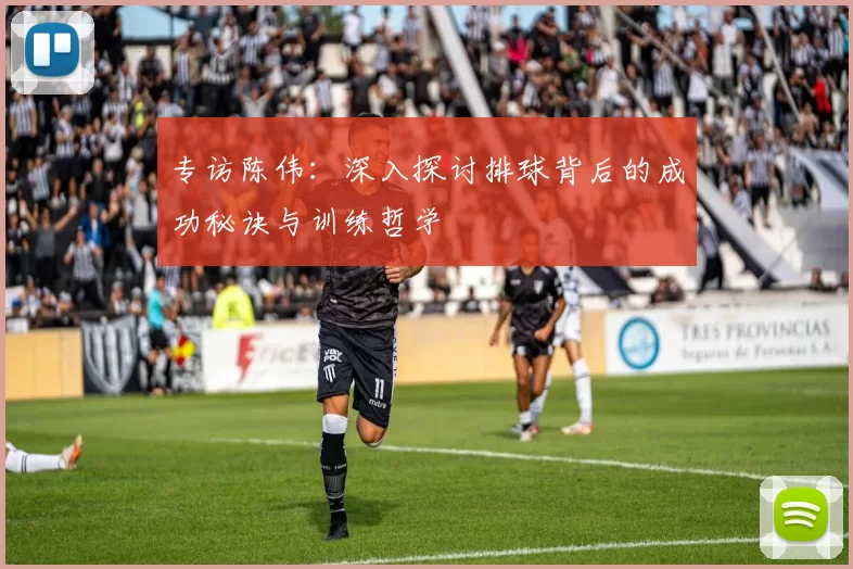 专访陈伟:深入探讨排球背后的成功秘诀与训练哲学