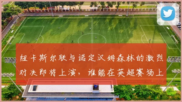 纽卡斯尔联与诺定汉姆森林的激烈对决即将上演，谁能在英超赛场上笑到最后