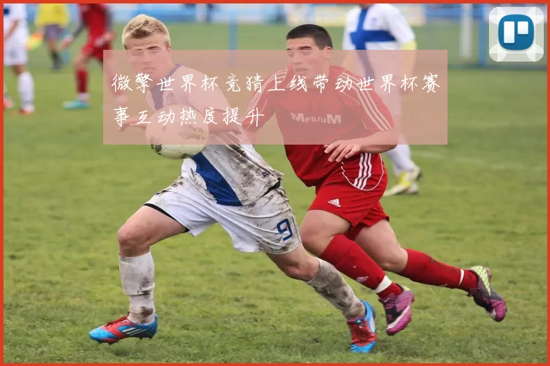 微擎世界杯竞猜上线带动世界杯赛事互动热度提升