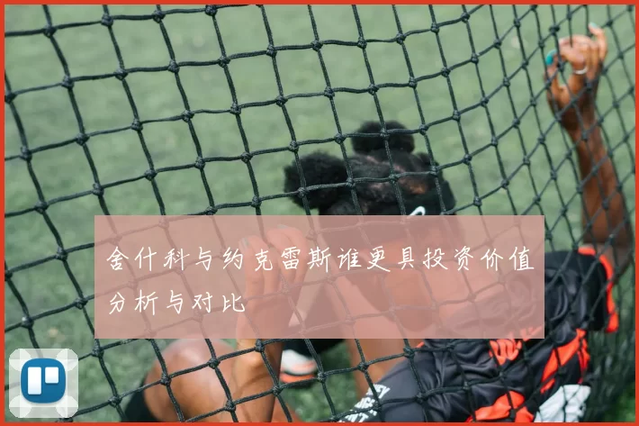 舍什科与约克雷斯谁更具投资价值分析与对比