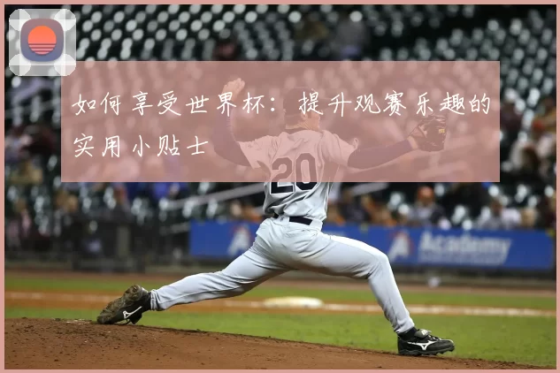 如何享受世界杯：提升观赛乐趣的实用小贴士
