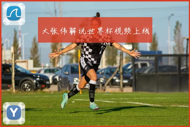 大张伟解说世界杯视频上线