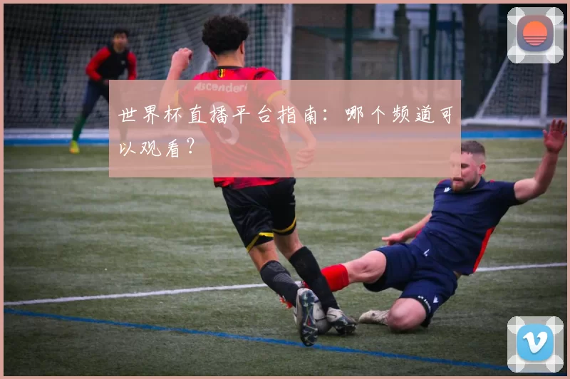世界杯直播平台指南:哪个频道可以观看?