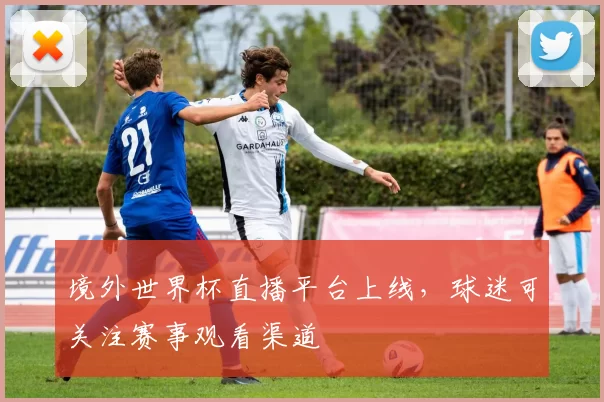 境外世界杯直播平台上线，球迷可关注赛事观看渠道