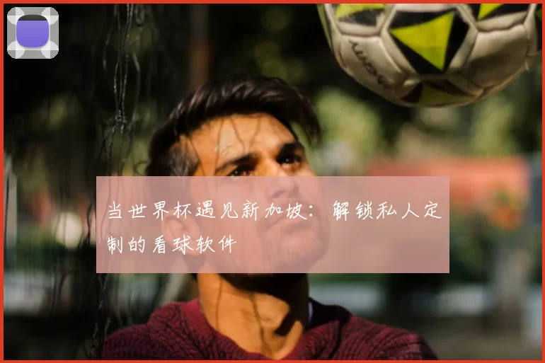 当世界杯遇见新加坡:解锁私人定制的看球软件