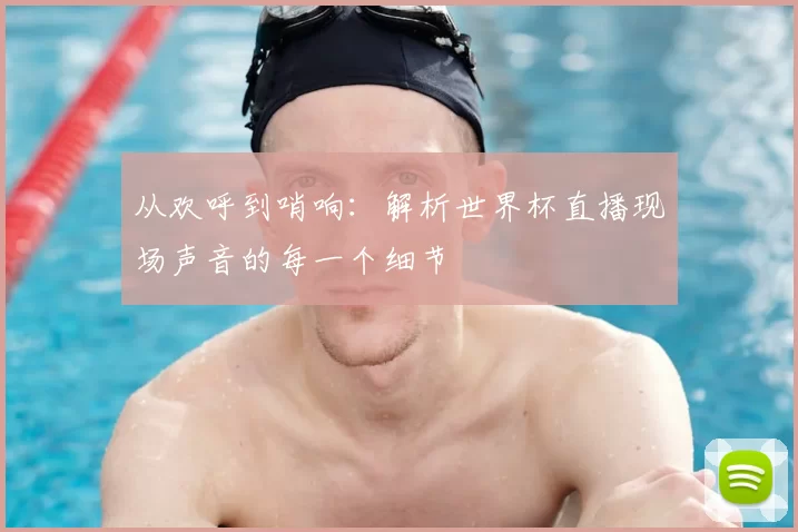 从欢呼到哨响:解析世界杯直播现场声音的每一个细节